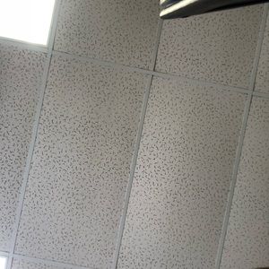 Meet your Posher, Diana